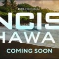 NCIS : Hawai'i | Synopsis - 1.18 : T'N'T