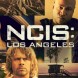 La saison 13 diffus�e sur M6 � partir du 10 ao�t 