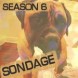 nouveau sondage