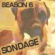 Nouveau sondage