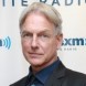 Mark Harmon produit une s�rie sur Shakespeare