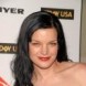 Sorties : Pauley Perrette