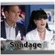 Sondage