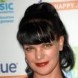 Sortie : Pauley Perrette