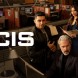 La saison 22 arrive sur M6 le samedi 22 mars  21h10