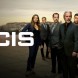 La saison 23 de NCIS arrive sur M6 le samedi 16 mai prochain