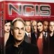 DVD Saison 6 !