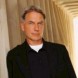 Gibbs, une nouvelle s�rie ?