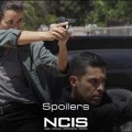 NCIS | Synopsis - 19.21 : Birds of a Feather