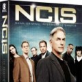 DVD Saison 7 