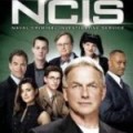 DVD Saison 8