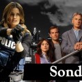 Sondage | Le quartier Castle vous invite � voter pour NCIS!