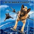 Comme chien et chat (2)