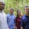 Audiences 9x13 et 9x14 sur M6 !!!