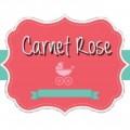 Carnet Rose