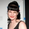 Sortie : Pauley Perrette