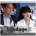 Nouveau sondage