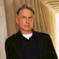 Gibbs, une nouvelle s�rie ?
