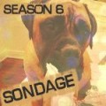 Sondage