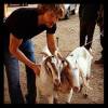 NCIS : Los Angeles Photos du tournage saison 4 