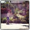 NCIS : Los Angeles Photos du tournage saison 4 