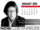 NCIS : Los Angeles Calendriers 2014 