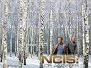 NCIS : Los Angeles Calendriers 2019 