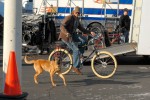 NCIS : Los Angeles Photos de tournage S2 