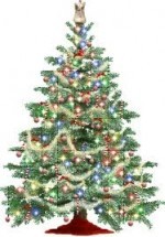 2011-12-27 17-22-00