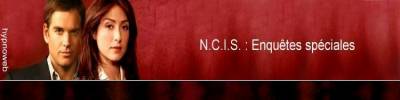 NCIS | NCIS : New Orleans Logos 