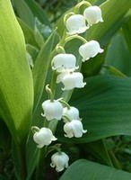 2009-05-03 09-59-00