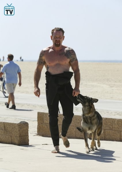 Arlo Turk (Max Martini) avec son chien quitte la plage
