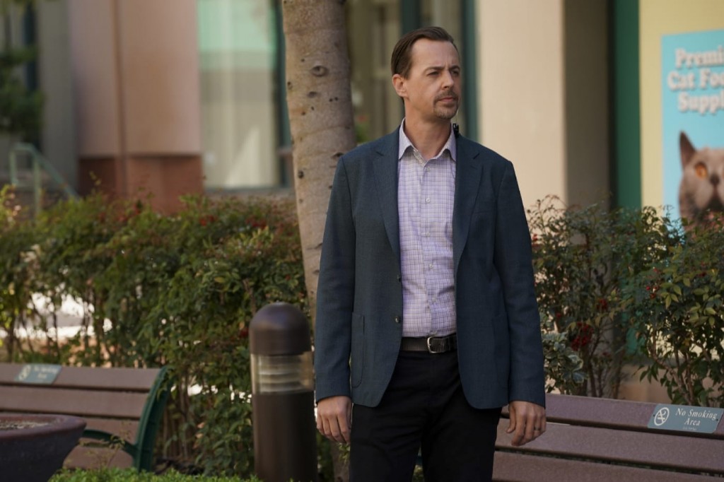 Timothy McGee (Sean Murray) attend