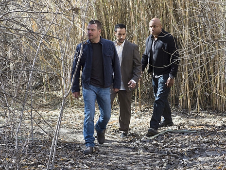 les 2 agents et Samir marchent en forêt