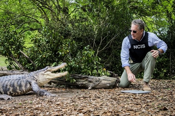 Dwayne Pride (Scott Bakula) et un aligator