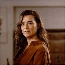 Ziva David